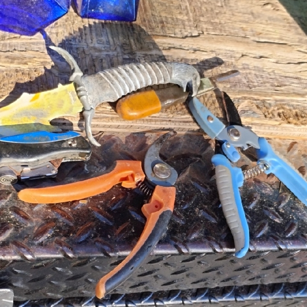 Garden Pruning Shears Set - Orange & Blue Handles+